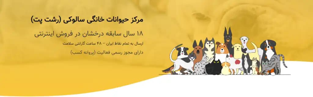 فروشگاه پت شاپ سالوکی در استان گیلان - رشت | دیلمان - تصویر 6