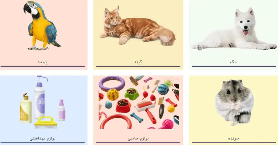 فروشگاه پت شاپ لی پت در شیراز استان فارس | میدان بعثت - تصویر 1