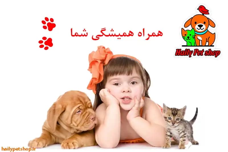 فروشگاه پت شاپ هایلی پت شاپ در استان گیلان - رودسر | خیابان کشاورز - تصویر 6
