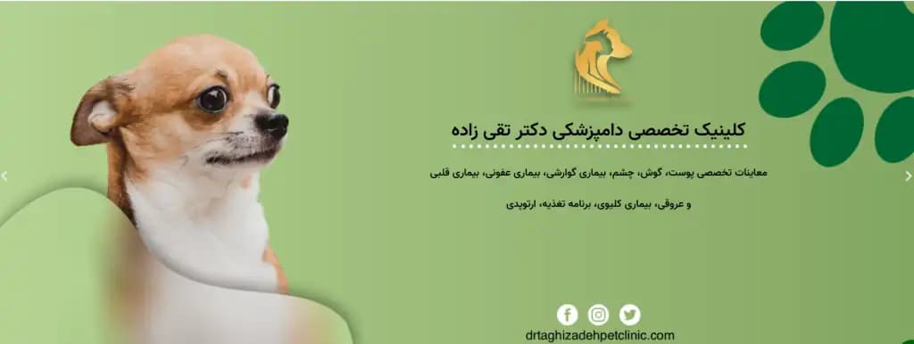 کلینیک دامپزشکی دکتر مسعود تقی زاده جاهد در تهران | زعفرانیه - تصویر 1