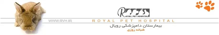 بیمارستان دامپزشکی رویال در تهران | آیت الله کاشانی - تصویر 1