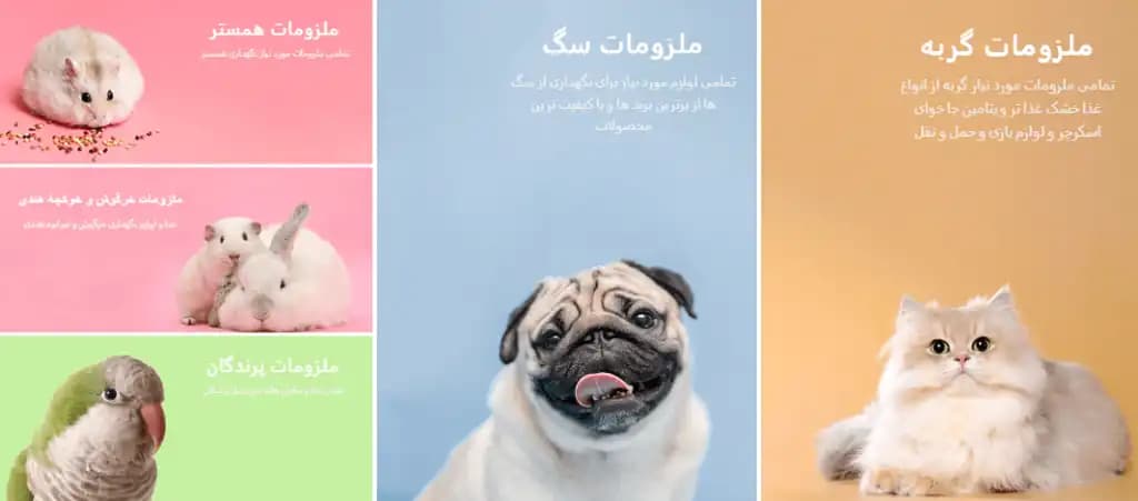 فروشگاه پت شاپ نینی پت در استان تهران | چیتگر - تصویر 6
