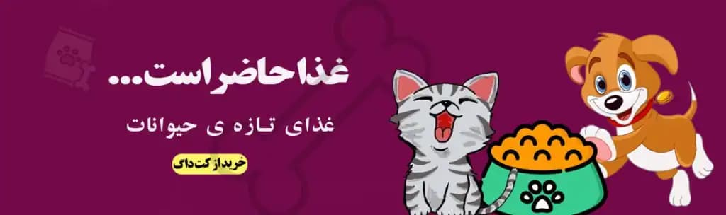 فروشگاه پت شاپ کت داگ آنلاین در استان اصفهان | خیابان سروستان - تصویر 6