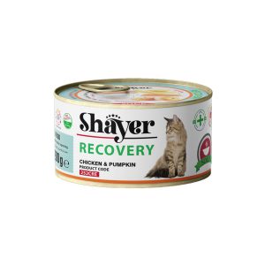 کنسرو غذای گربه مدل ریکاوری با طعم مرغ و کدو حلوایی برند شایر Shayer Cat Canned Food Beef Steak