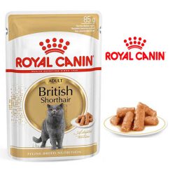 پوچ گربه مدل بریتیش برند رویال کنین Royal Canin British Shorthair